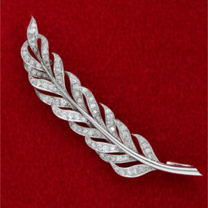 SPILLA PIUMA
